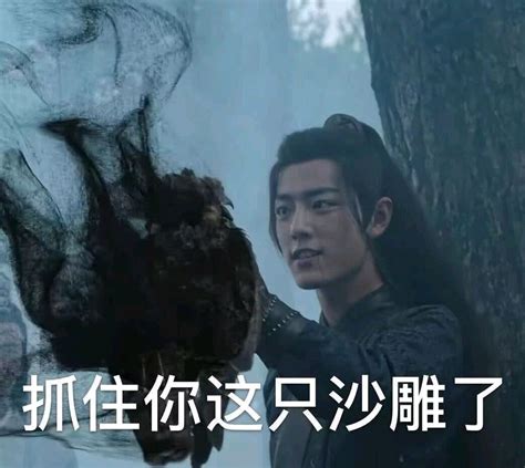 陈情令冲鸭表情包图片