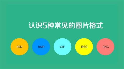 类型图片