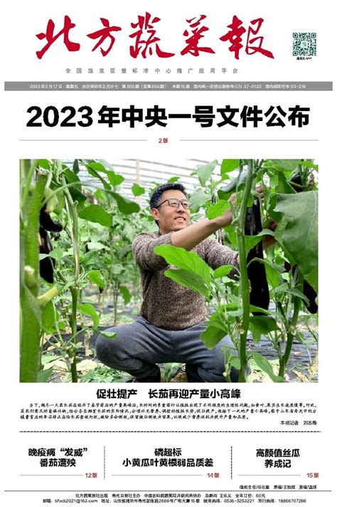 第JSA08版 专题 / 2022年06月17日 - 北方蔬菜报数字报