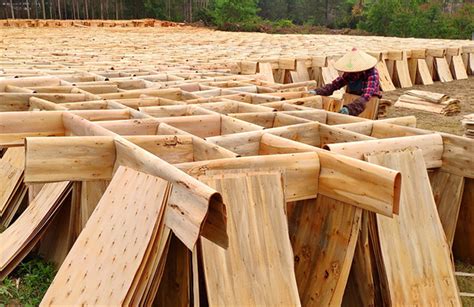 广西贵港：发展千亿元木业产业 打造“中国南方木都”_行业新闻_资讯_整木网