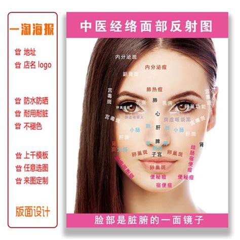 面部反射区图图片
