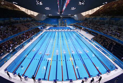 奥运游泳比赛图片 _网络排行榜
