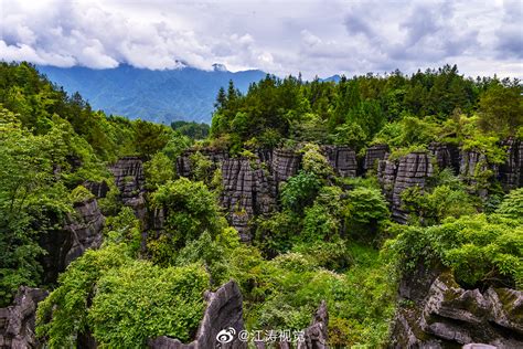 云南石林-世界喀斯特的精华，中国四大旅游胜地之一，你有去过吗|云南|石林|喀斯特地貌_新浪新闻