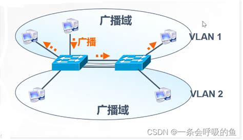 VLAN，简单配置vlan_配置vlan的步骤命令-CSDN博客