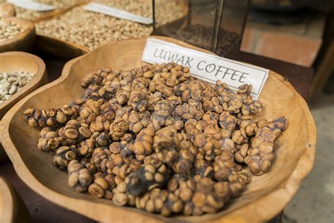 一组罕见照直击世界名贵“猫屎咖啡”的生产全过程 - 咖啡金融网