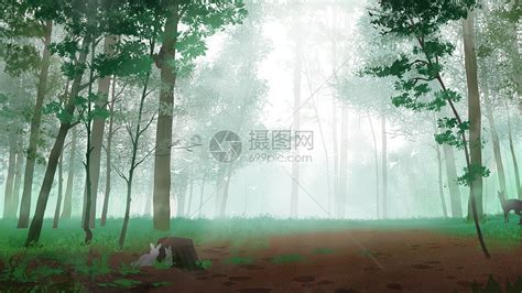 迷雾森林插画图片下载-正版图片400142366-摄图网