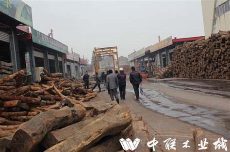 建筑旧长方,模板,顶柱,杉木圆木,江苏省沭阳苏北木材交易市场