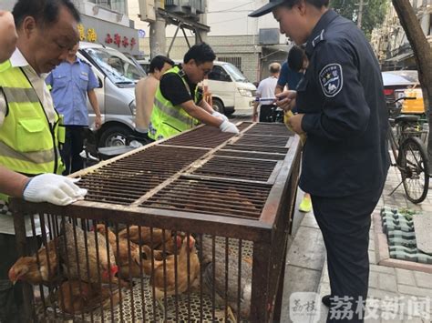 市政中心争购“农家鸡”助力脱贫暖人心_滁州市重点工程建设管理处