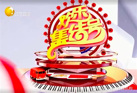 中国视听大数据 全国卫视春节收视专报（2021年2月4日—2月17日）|收视率_新浪新闻