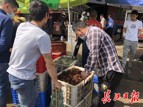 白沙洲大市场18年守护市民“菜篮子”-武汉市农业农村局