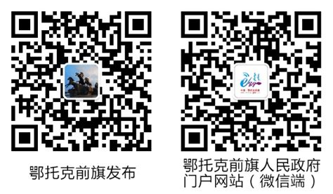 鄂托克前旗与上海电投融和新能源发展有限公司举行工作座谈-鄂托克前旗人民政府门户网站