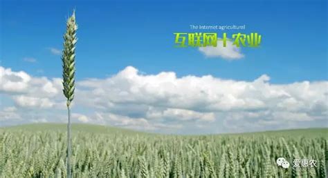 惠农网 - 农牧业