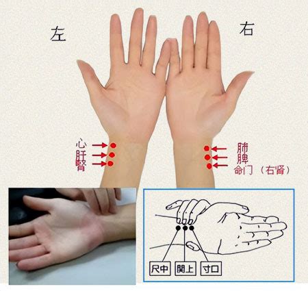 手部关键点识别 - 人体分析 | 百度智能云文档