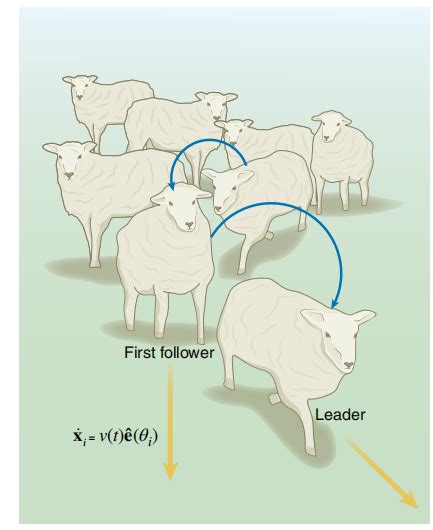 Nature Physics：“羊群效应”居然具有群体智慧！|绵羊_新浪新闻