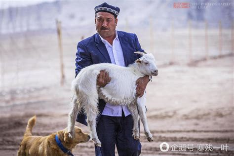 原来真正的新疆烤羊肉串是不加孜然的_频道_腾讯网