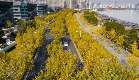 徐家汇天桥连廊（一期）年内竣工！徐汇今发布年度重大工程项目，计划投资165亿元 - 周到上海