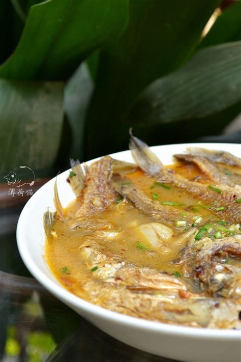 【黄鱼汤的做法步骤图，黄鱼汤怎么做好吃】薄荷与猫_下厨房