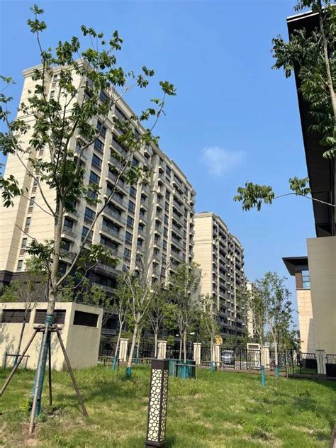 400余户居民喜提新居！松江这个动迁安置小区启动分房——上海热线HOT频道