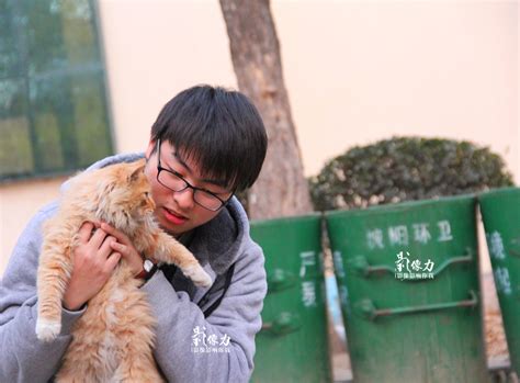 高清：大学男生喂养校园流浪猫 被赞爱心奶爸 - 青岛新闻网