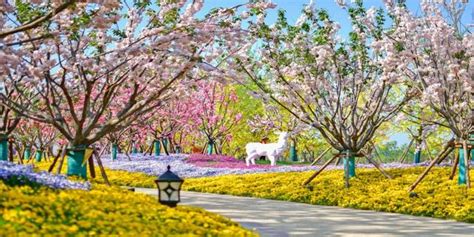 西安植物园四月赏花指南--陕西省西安植物园 陕西省植物研究所