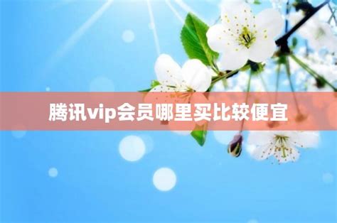 腾讯vip会员哪里买比较便宜？分享五种常见的方法及活动优惠 - 天赚网