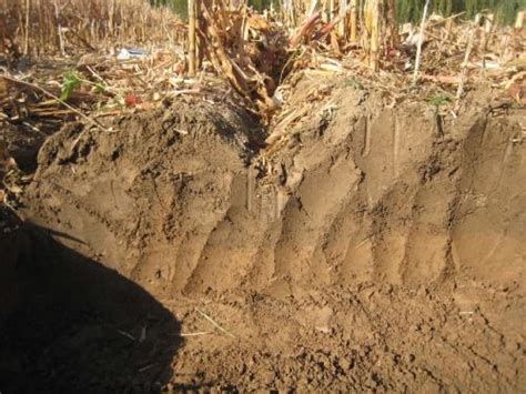 土壤养分快速测定仪准确检测土壤养分-云唐智能科技