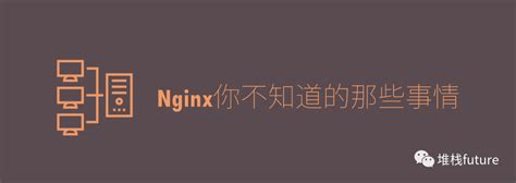 全面了解 Nginx 到底能做什么