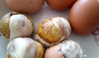 毛蛋土鸡蛋活珠子1枚新鲜生鸡胚蛋 毛蛋 半喜蛋 熟食真空毛鸡蛋-阿里巴巴