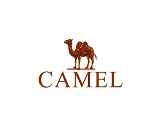 西域骆驼logo设计含义及休闲鞋品牌标志设计理念-三文品牌