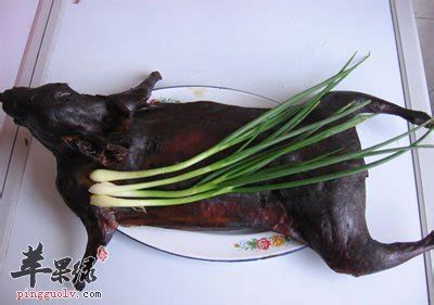兔肉的吃法大全_兔肉怎么吃好吃_兔肉的家常吃法合集-做法大全-聚餐网