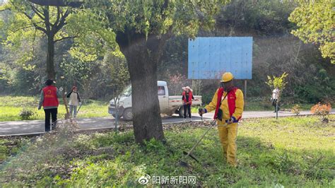 庆元左溪：搬得出 稳得住 农业转移人口有了美好新生活-庆元网