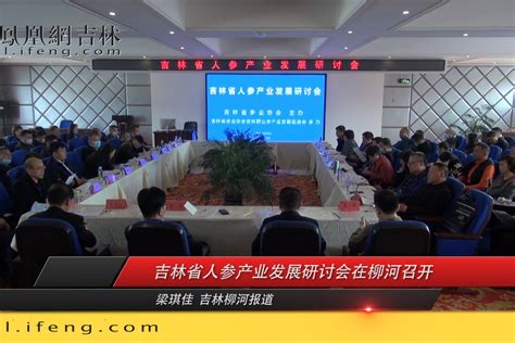 吉林省人参产业发展研讨会在柳河召开_凤凰网视频_凤凰网