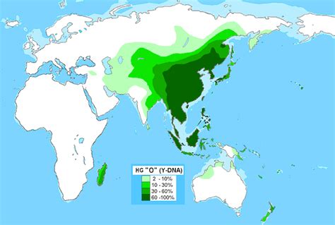 中国人种基因图谱_360百科