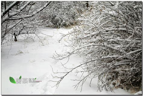 【四月的雪摄影图片】甘肃省玉门市风光摄影_太平洋电脑网摄影部落