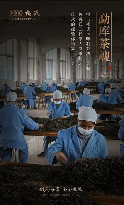 2021年戎氏易武，全国震撼上市-爱普茶网,最新茶资讯网站,https://www.ipucha.com