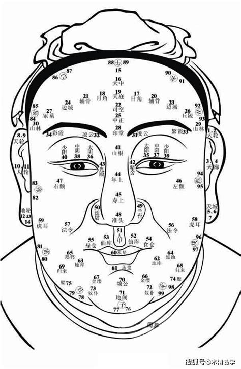 面相眉毛图解大全图片