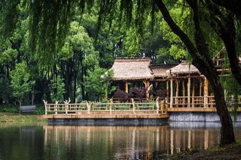 上海值得一去的十大免费公园_旅泊网