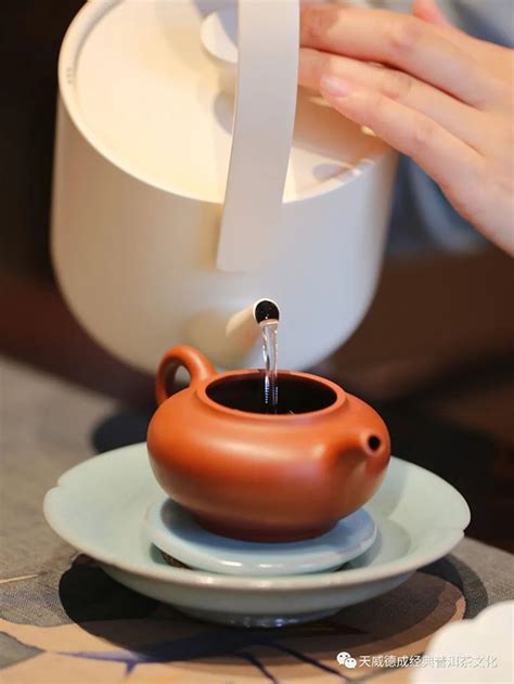 石昆牧经典茶文化：健康茶饮常识-爱普茶网,最新茶资讯网站,https://www.ipucha.com