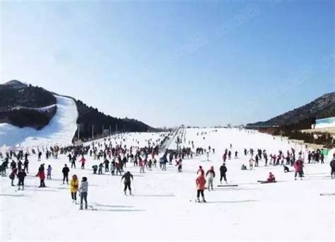 北京这10家冰场已开放，您想知道的游乐项目和购票信息都在这里_手机新浪网