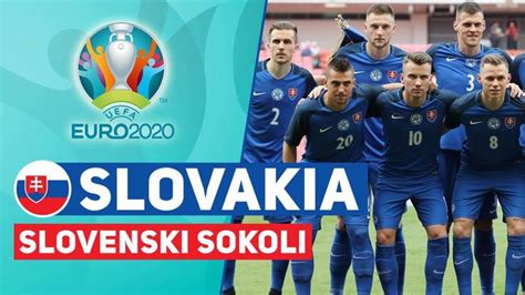 斯洛伐克欧洲杯26人名单：前大连球员哈姆西克入选