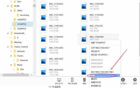 彻底删除Linux文件：掌握正确方法避免数据泄露