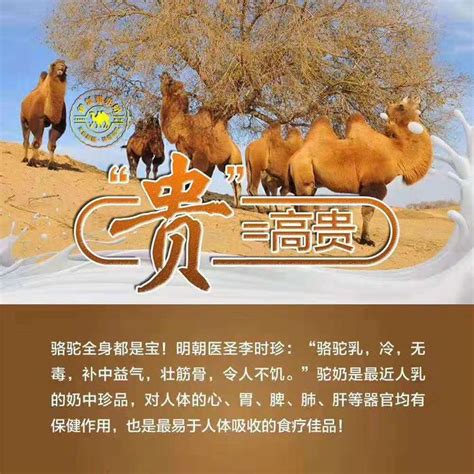 正宗骆驼商标,骆驼的骆,骆驼_大山谷图库