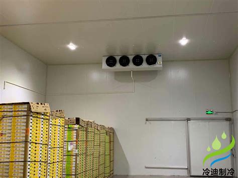 内江蔬菜保鲜冷库建造用于储藏生姜要注意哪些？