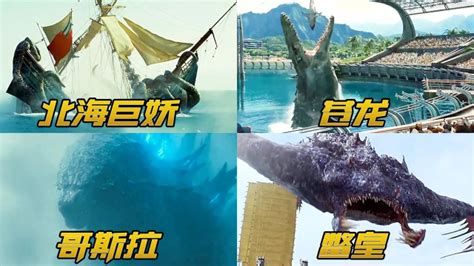 《斗罗：开局重生深海魔鲸王》小说在线阅读-起点中文网