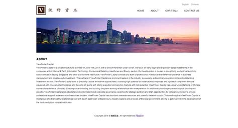 視野資本网站设计-易百讯建网站公司