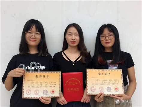 染织服装设计系（大连）在“海宁杯”2019中国国际家用纺织品创意设计大赛中喜获佳绩-鲁迅美术学院