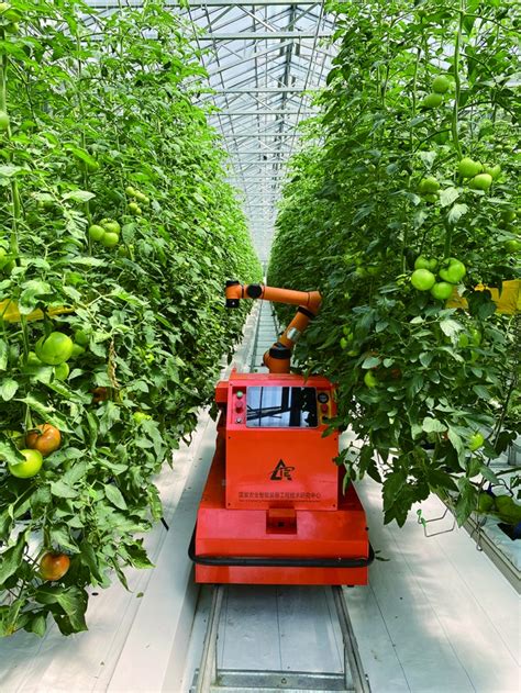 透视“寿光模式”： 全产业链打造农业科技新生态|上海证券报·中国证券网