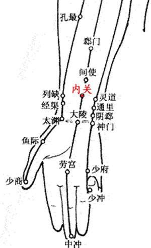 内关穴位图图片