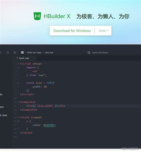 HBuilderX 详细安装教程_hbuildx官网-CSDN博客