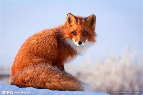 火狐浏览器官方下载_Firefox(火狐浏览器)下载 40.0官方中文版_ - 易佰下载